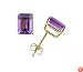 14k Yellow Gold Four Prong 7x5mm Octagon  Amethyst Stud Earrings