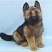 Hansa German Shepherd Pup Dog
