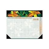 2008 Panoramic Floral Monthly Desk Pad Calendar, 22 x 17 (VIO89805)