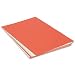 Pacon 5177 Assorted Colors Tagboard, 24 x 36, 100 Sheets per pack