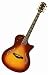 Taylor Guitars T5C Custom Acoustic Electric Guitar, Tobacco Sunburst