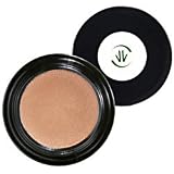 Vincent Longo Water Canvas Highlighter