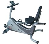 Seen on Tv Sunny Delux Health and Fitness Recumbent Exercise Bike