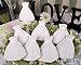 Wedding Gown Cookies