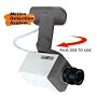 Fake Security Camera (As Seen On TV)