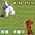AHIRU-256-M クリスタルi-Duck-みぞれ 256MB ソリッドアライアンス あひる型USBフラッシュメモリ