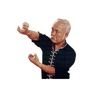 eagle kung fu