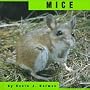 Mice (Bridgestone Animals)