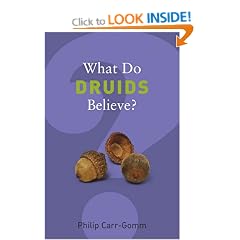 What Do Druids Believe? (What Do We Believe)