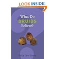What Do Druids Believe? (What Do We Believe)