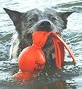 Kong Water Wubba Large