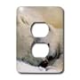 Wild animals - Polar Bear and Cub - Light Switch Covers - 2 plug outlet cover