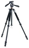 Vanguard �Х󥬡��� Alta+ ���륿�ץ饹 �����ܥ󻰵� 22mm 4�� 3����������  Alta+ 224CP