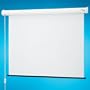 129108 Baronet Motorized Front Projection Screen - 40.5x72"