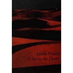 Sea in the Desert
