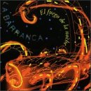 El Fuego de la Noche