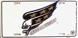 Washington Capitals - 6 inch x 12 inch standard size license plate