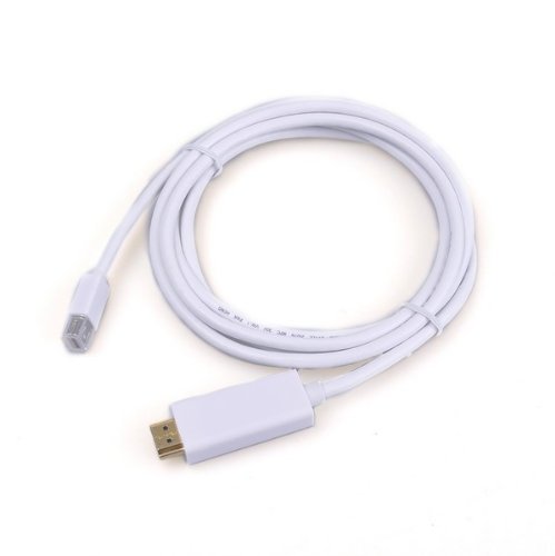 BestDealUSA 10FT Displayport