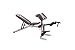 Sporting Goods : Strength Trainer M-FIDL Incline / Decline Bench with Leg and Preacher Curl