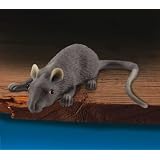 Lifelike Rubber Mouse by