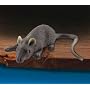 Rubber Mouse Lifelike