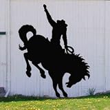 Pattern for Bucking Bronco