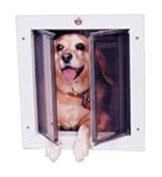Small Plexidor Dog Door / Cat Door for Doors (White)