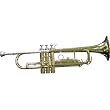 Austin Bazaar B Flat Yellow Brass Trumpet with Case