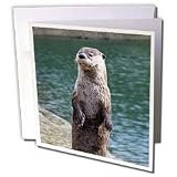 Wild animals - Otter - Greeting Cards-12 Greeting Cards with envelopes