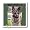 German Shepherd Portrait - 6x6 Iron On Heat Transfer For White Material