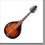 Stagg M20 Traditional Bluegrass Mandolin in Violinburst
