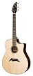 Breedlove Performance Series Focus D Special Edition Acoustic Guitar, Made in U.S.A.