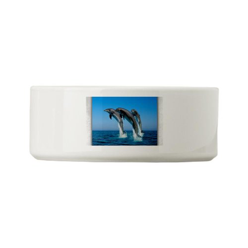 Dog Cat Food Water Bowl Dolphins Dancing