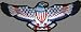 EMB-D 156 - AUFNÄHER / ADLER (USA) -