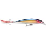 X Rap Freshwater Jerkbait 4" 7/16oz Purple Gold - Rapala XR10PG, Fishing Lures & Lure Kits
