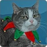 Jingle Bells Christmas Holiday Cat Collar