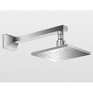 Toto Showerhead TS930A1-BN