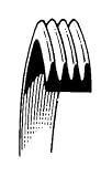 GE General Electric Dryer Drum Belt WE12X82 WE12X82P