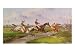 The Water Jump: the Autumn Steeplechase at Ballarat, Victoria, Australia, in 1868 Art Giclee Poster Print by Thomas Hamilton Lyttleton, 24x18