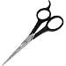 Health & Personal Care : Tweezerman Spirit 2000 Styling Shears