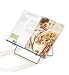 Cook Book Holder (Silver) (6 1/4