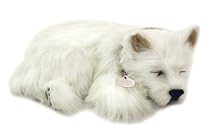 Perfect Petzzz Westie
