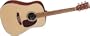 Martin DX1 6-string Acoustic Guitar