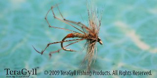 Daddy Long Legs-Orange Tag