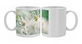 Clematis seedheads Photo Mugs