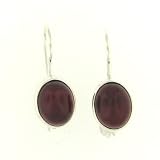 Amber Earrings set in .925 Sterling Silver