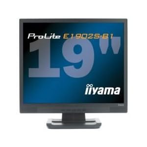 Iiyama ProLite E1902S 48,3 cm (19 Zoll) TFT Monitor DVI schwarz mit Lautsprechern (Kontrast 1000:1, 2 ms Reaktionszeit)