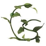 ENERGY SAVERS VANILLA VINE ORCHID PLANT 28 inch