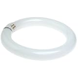 Tools & Hardware : Flowtron BF-180 Circline Replacement Bulb for GAL-35