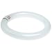 Flowtron BF-180 Circline Replacement Bulb for GAL-35